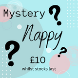 Mystery Box - One Size Reusable Nappy