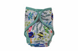Seedling Baby Paddle Pants (Swim Nappy)